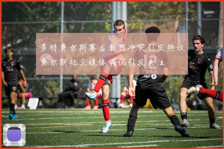 多特费尔斯赛后激烈冲突引发热议费尔斯社交媒体调侃引发关注